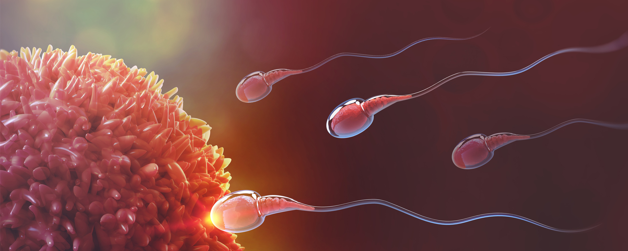 Hospital Clínico Universidad de Chile