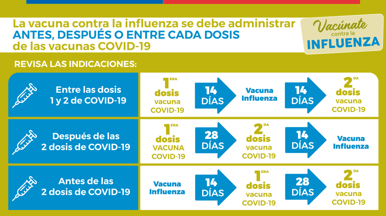 Vacúnate contra la influenza