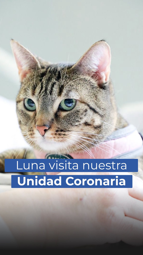 Humanización en salud